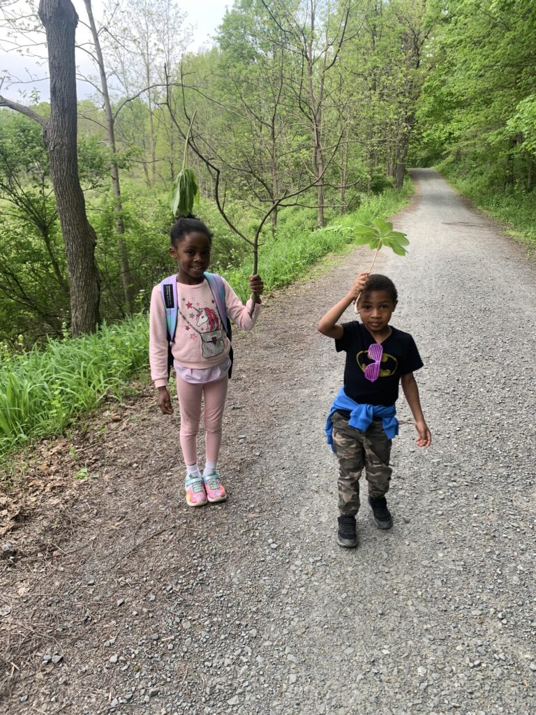 The road to get to the Falls